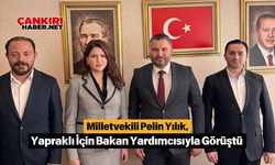 Milletvekili Pelin Yılık, Yapraklı İçin Bakan Yardımcısıyla Görüştü