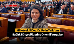 Pelin Yılık’tan Sağlık Bütçesi Üzerine Önemli Vurgular