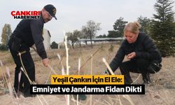 Yeşil Çankırı İçin El Ele: Emniyet ve Jandarma Fidan Dikti