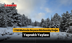 1700 Metrede Beyaza Bürünmüş Doğa: Yapraklı Yaylası