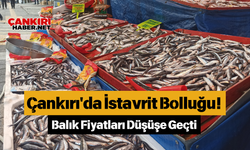 Çankırı'da İstavrit Bolluğu! Balık Fiyatları Düşüşe Geçti