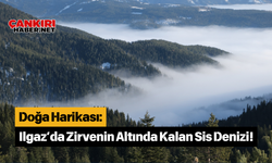 Doğa Harikası: Ilgaz’da Zirvenin Altında Kalan Sis Denizi!