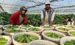 Halep'ten kaçan Suriyeli çift, Türkiye'deki yardımlarla hayatlarını kurdu