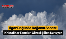 Ilgaz Dağı'nda Doğanın Sanatı: Kristal Kar Taneleri Görsel Şölen Sunuyor