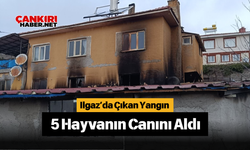 Ilgaz'da Çıkan Yangın 5 Hayvanın Canını Aldı