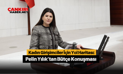 Kadın Girişimciler İçin Yol Haritası: Pelin Yılık’tan Bütçe Konuşması