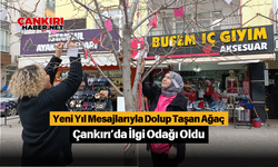 Yeni Yıl Mesajlarıyla Dolup Taşan Ağaç Çankırı’da İlgi Odağı Oldu