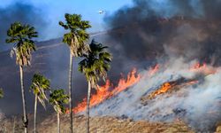 California’daki yangın kontrol altına alındı