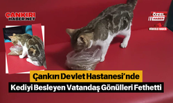 Çankırı Devlet Hastanesi’nde Kediyi Besleyen Vatandaş Gönülleri Fethetti