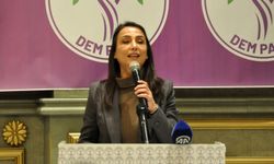 DEM Parti Eş Genel Başkanı Tülay Hatimoğulları: "Meclis, çözüm sürecinin adresi olmalıdır"