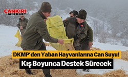 DKMP’den Yaban Hayvanlarına Can Suyu! Kış Boyunca Destek Sürecek