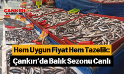 Hem Uygun Fiyat Hem Tazelik: Çankırı’da Balık Sezonu Canlı