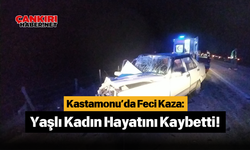 Kastamonu’da Feci Kaza: Yaşlı Kadın Hayatını Kaybetti!