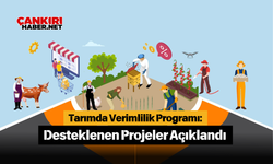 Tarımda Verimlilik Programı: Desteklenen Projeler Açıklandı