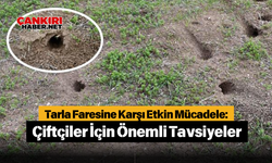 Tarla Faresine Karşı Etkin Mücadele: Çiftçiler İçin Önemli Tavsiyeler