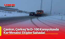 Çankırı, Çerkeş'te D-100 Karayolunda Kar Mesaisi: Ekipler Sahada!