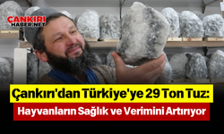 Çankırı'dan Türkiye'ye 29 Ton Tuz: Hayvanların Sağlık ve Verimini Artırıyor