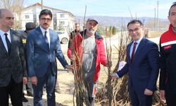 Bolu Seben’de Kızık Armudu Fidanları Çiftçilere Dağıtıldı