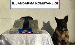 Bolu’da Jandarma Operasyonu: 2 Kadın Yolcunun Eşyasında 2 Kilo 264 Gram Skunk Bulundu