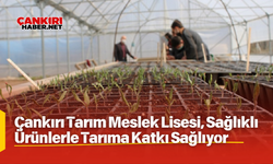 Çankırı Tarım Meslek Lisesi, Sağlıklı Ürünlerle Tarıma Katkı Sağlıyor