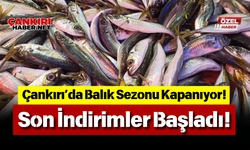 Çankırı’da Balık Sezonu Kapanıyor! Son İndirimler Başladı!