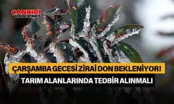 Çarşamba Gecesi Zirai Don Bekleniyor! Tarım Alanlarında Tedbir Alınmalı