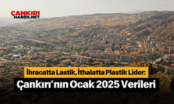 İhracatta Lastik, İthalatta Plastik Lider: Çankırı’nın Ocak 2025 Verileri