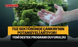 Tuz sektöründe Çankırı'nın potansiyeli artıyor! Yeni destek programı duyuruldu