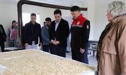 Frig Vadisi’nde ‘Lavanta Cenneti’ ve Kadın Girişimciliğiyle Ekolojik Yaşam Başlıyor