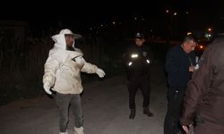 Arı Kovanı Yüklü Kamyonet Devrildi: Trafik Polisleri Zor Anlar Yaşadı