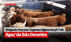 Belgesiz Hayvan Taşımacılığına Geçit Yok: Ilgaz’da Sıkı Denetim