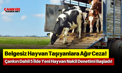 Belgesiz Hayvan Taşıyanlara Ağır Ceza! Çankırı Dahil 5 İlde Yeni Hayvan Nakil Denetimi Başladı!