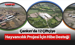 Çankırı’da 12 Çiftçiye Hayvancılık Projesi İçin Hibe Desteği