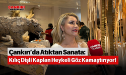 Çankırı’da Atıktan Sanata: Kılıç Dişli Kaplan Heykeli Göz Kamaştırıyor!