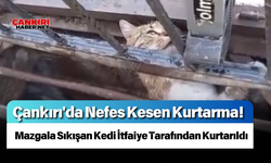 Çankırı'da Nefes Kesen Kurtarma! Mazgala Sıkışan Kedi İtfaiye Tarafından Kurtarıldı