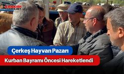 Çerkeş Hayvan Pazarı Kurban Bayramı Öncesi Hareketlendi