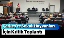 Çerkeş’te Sokak Hayvanları İçin Kritik Toplantı