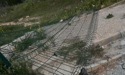 Doğaseverlerin Uğrak Noktası Bakımsızlığa Terk Edildi