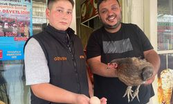 Dürüm Olmak Yerine Yumurta Bıraktı: Dönerciye İlginç Ziyaret