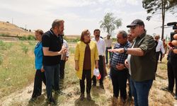 Fırat'ın Kıyısında Yeni Cazibe Merkezi Kuşlar, Fotoğrafçılar ve Tarih Aynı Yerde