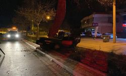 Gece Yarısı Kaza: Otomobil Ağaca Çarptı, Sürücü Hastaneye Kaldırıldı