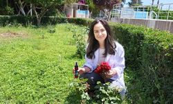 HBX-2371: Evrensel Antibiyotik Olmaya Aday Yeni Nesil Formül