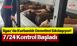 Ilgaz’da Kurbanlık Denetimi Sıkılaşıyor! 7/24 Kontrol Başladı
