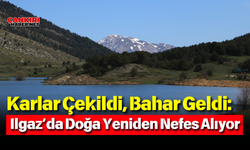 Karlar Çekildi, Bahar Geldi: Ilgaz’da Doğa Yeniden Nefes Alıyor