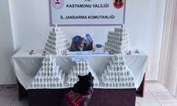 Kastamonu’da Jandarmadan Zehir Operasyonu!