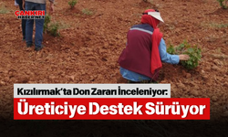 Kızılırmak’ta Don Zararı İnceleniyor: Üreticiye Destek Sürüyor