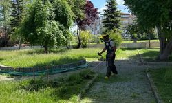 Taşköprü’de Haşerelere Karşı Yaz Temizliği Başladı