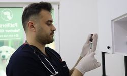 Veterinerden Yaz Uyarısı: Bu Belirtiler Görülürse Hemen Müdahale Edin