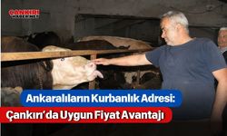 Ankaralıların Kurbanlık Adresi: Çankırı’da Uygun Fiyat Avantajı
