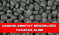 ÇANKIRI EMNİYET MÜDÜRLÜĞÜ YAKACAK ALIMI